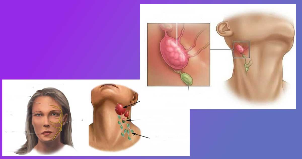 Противовъзпалителни лекарства и добавки за лимфни възли: Комплексен подход към лечението