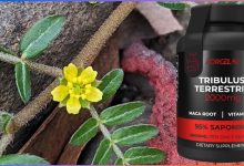 Как да изберем качествен Tribulus Terrestris? Виж кои фактори определят ефекта и кога има реален смисъл от добавки за тестостерон