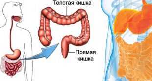 Ефективни лекарства и билки за спастичен колит в българските аптеки