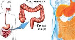 спастичен колит билки