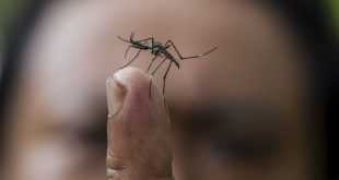 ухапване от комар