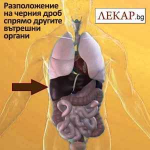 заболявания на черния дроб