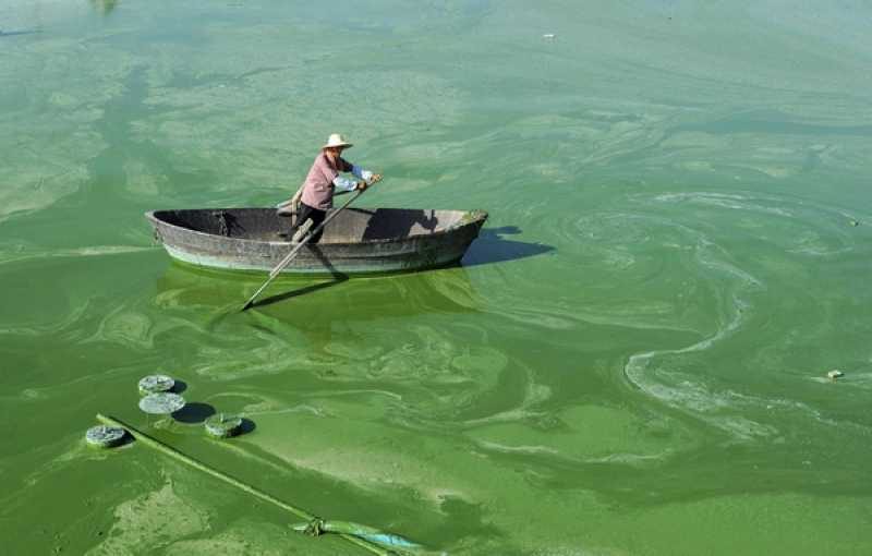 Какви мнения съществуват за Аквасорс. Измама ли е?