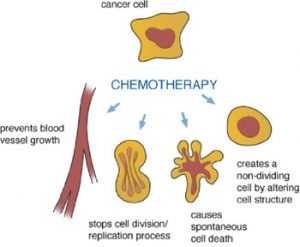 Химиотерапия - Онкология - Рак на белия дроб - Рак на гърдата - Левкемия - Рак на черния дроб действие