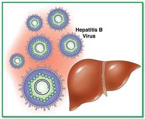 Хепатит Б
