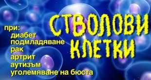 лечение със стволови клетки в българия цени