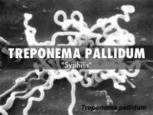 Васерман - тест за сифилис