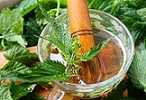 коприва корени билка лечение чай супа, салата, отвара