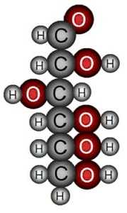 Въглехидрати химия процеси свойства видове
