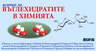 Въглехидрати химия процеси свойства видове