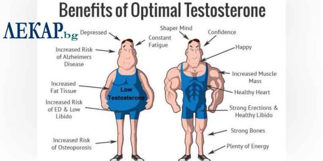 Тестостеронова 01 заместителна терапия