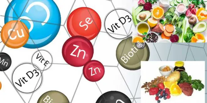 Витамини, минерали и микроелементи 02 vitamini-minerali-microelementi-01