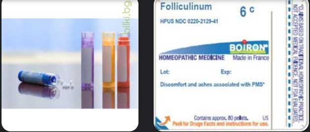 Folliculinum-06
